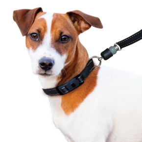 ThunderShirt Introduces Arthritis-Friendly Dog&nbsp;Leashes